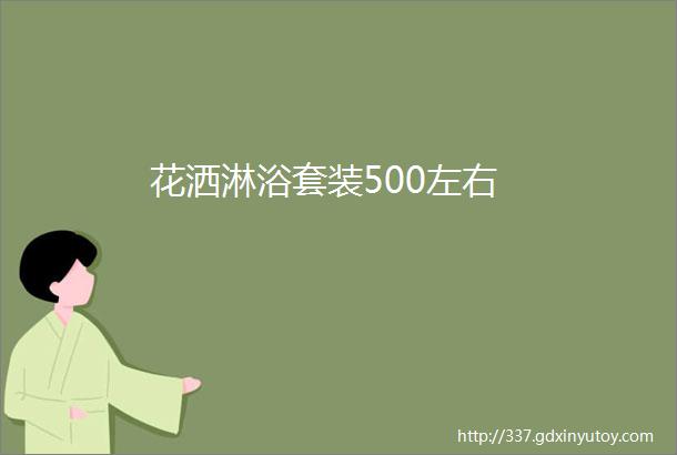 花洒淋浴套装500左右